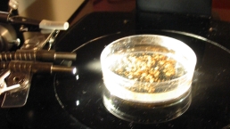 Petri Dish with Fiber Optic Light