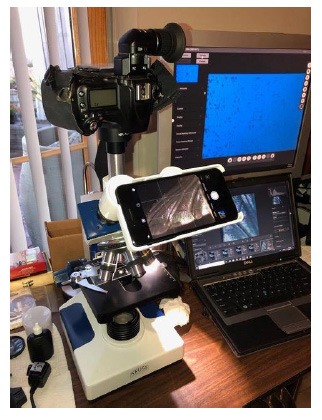 Microscopy-uk.org.uk Official web Site